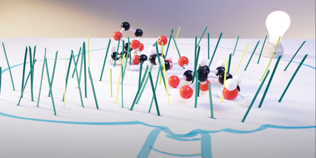 Load video: Illustration of plant-based molecules being converted into bioplastic, representing NatureWorks' Ingeo™ PLA made from renewable plant sugars — a sustainable alternative to petroleum-based plastics.