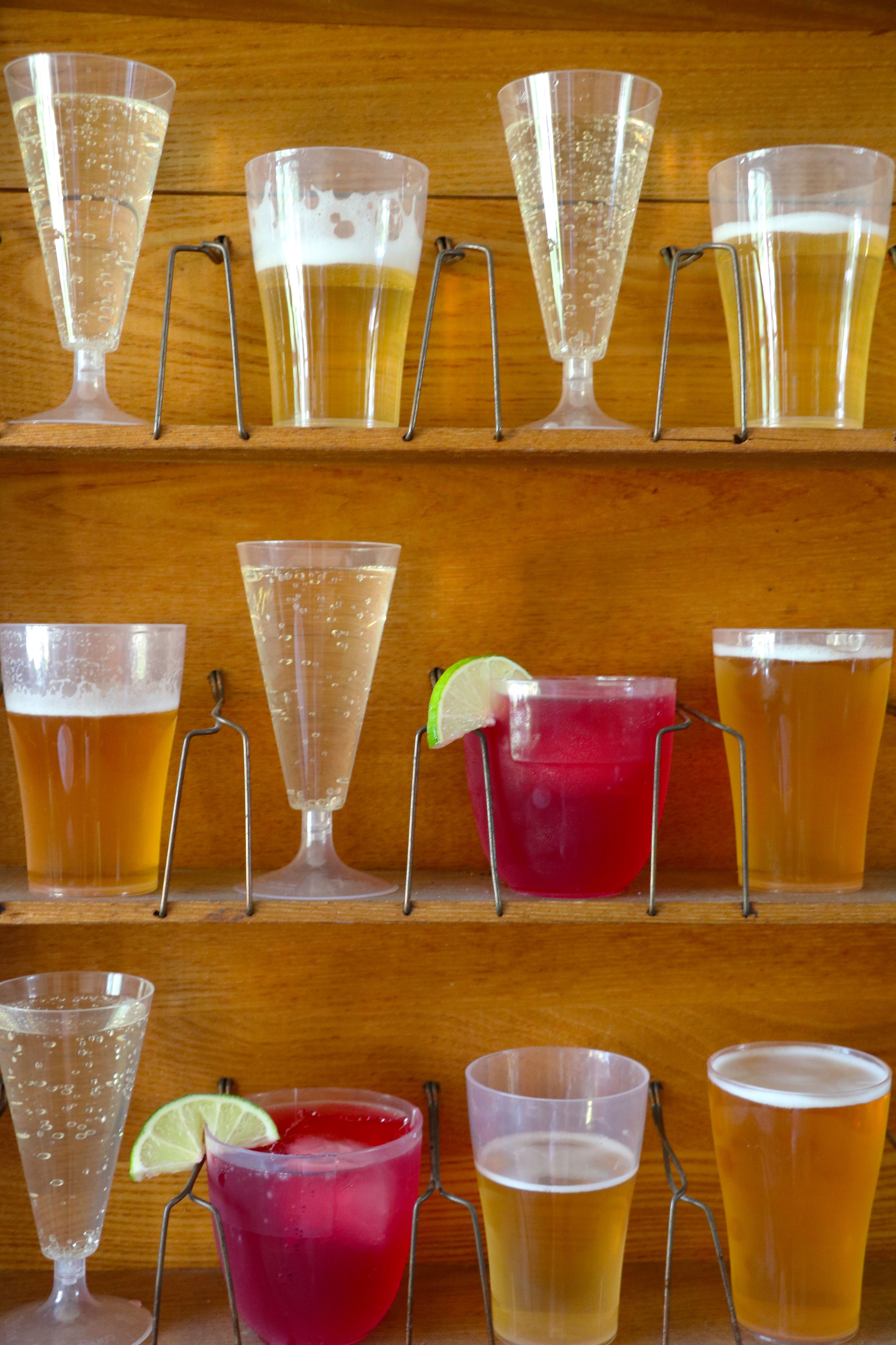 Compostable drinkware including low ball tumblers and martini-style cups filled with colorful cocktails, garnished with citrus slices and edible flowers, displayed on a wooden bar surface.