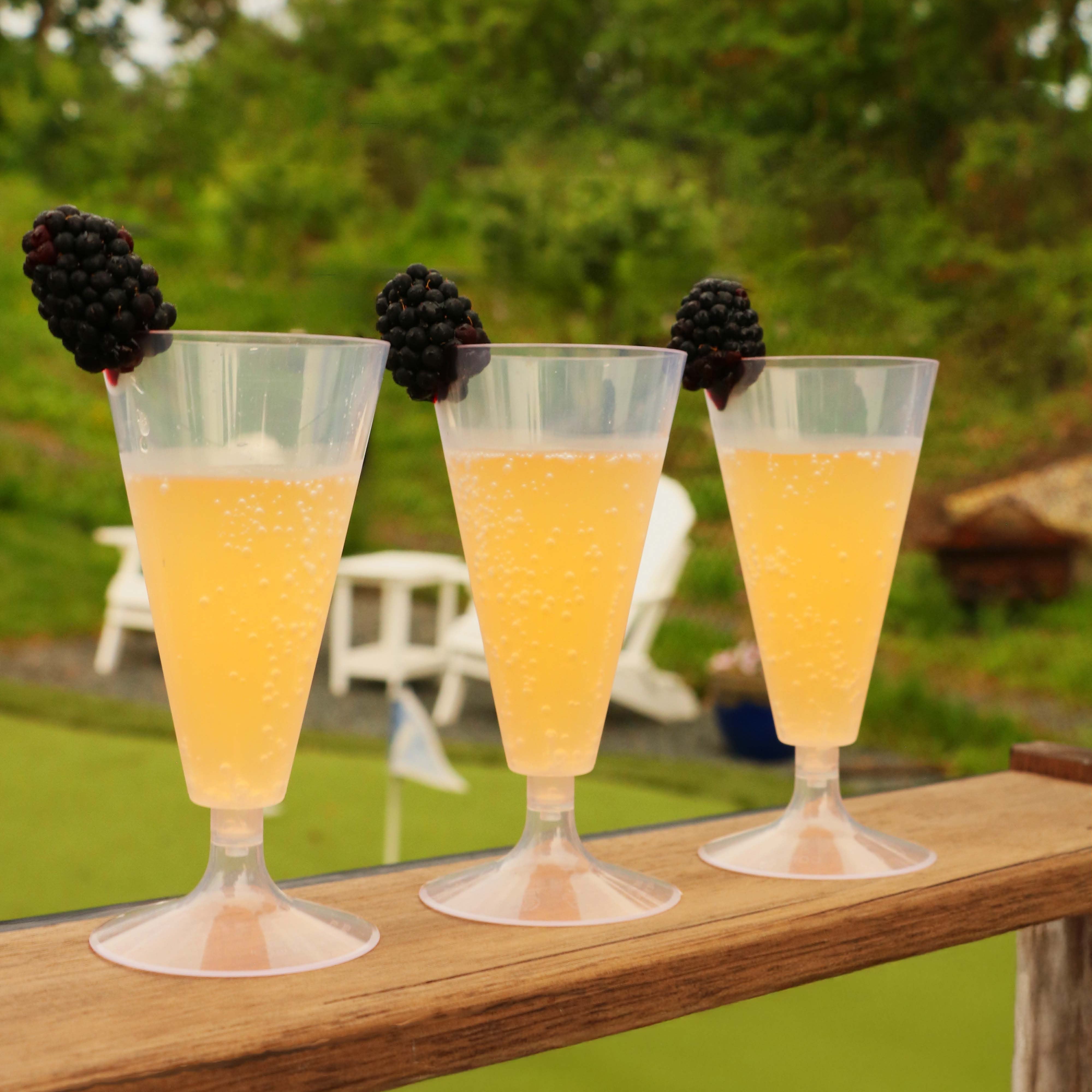 4oz Champagne Flutes - 70 Count Case, PLA-SelfEco Caterware
